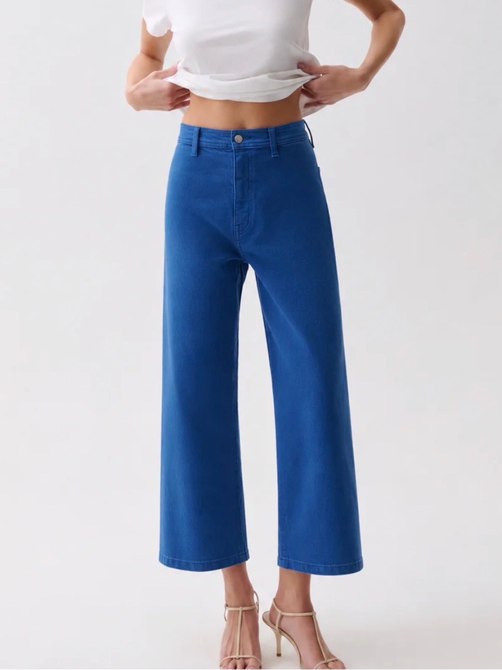 NWT Pistola Penny Crop High Rise Wide Leg Jean - CIEL size 25